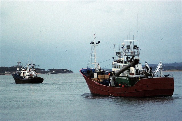 Pescapesqueirosbarcos