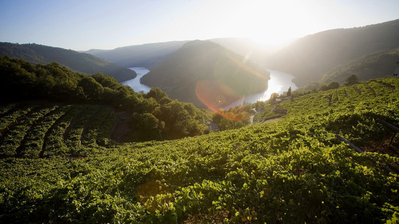 Ribeirasacrapaisaje