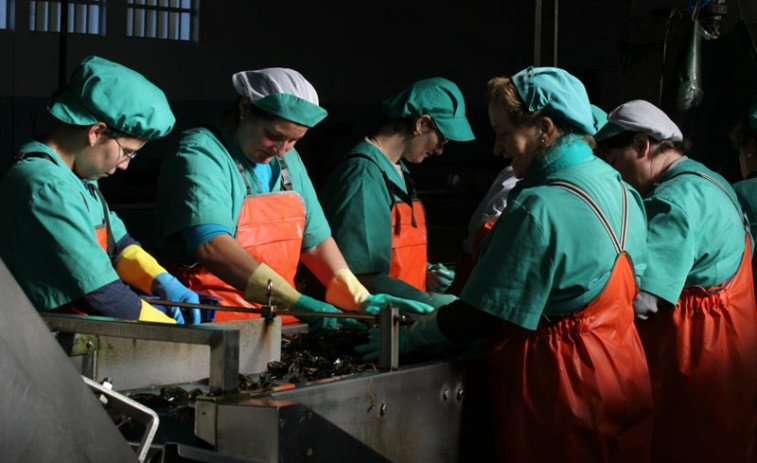 100 millones para incorporar 46.000 mujeres al mercado laboral en Galicia