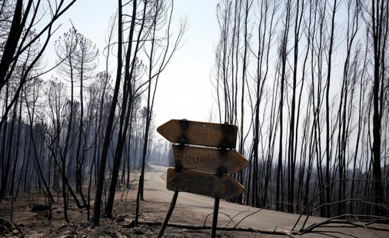 ​Los bomberos de Portugal creen que el incendio de Pedrógão Grande tuvo un origen criminal