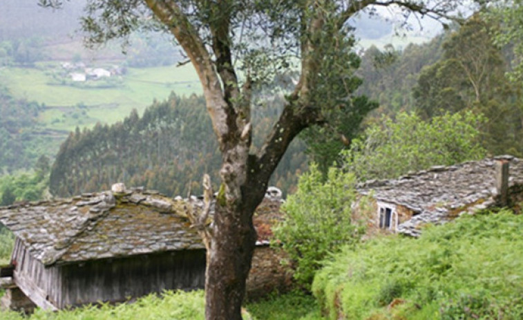 El envejecimiento del rural y el reto demográfico se convierten en una prioridad europea