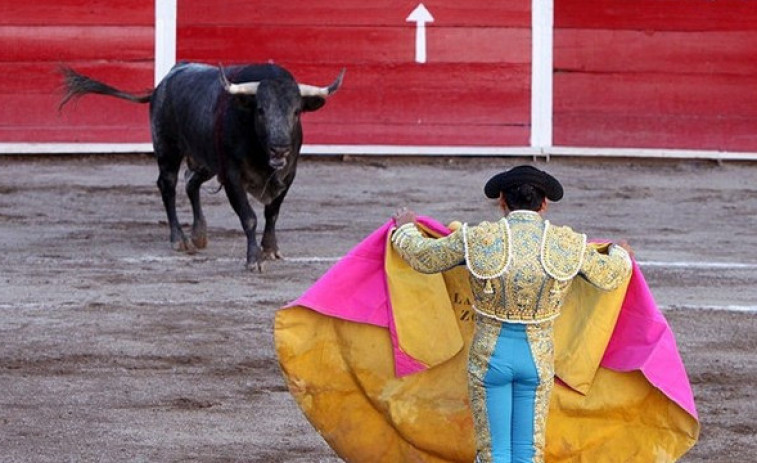 El PP aprueba en solitario la ley de bienestar animal que olvida a los toros