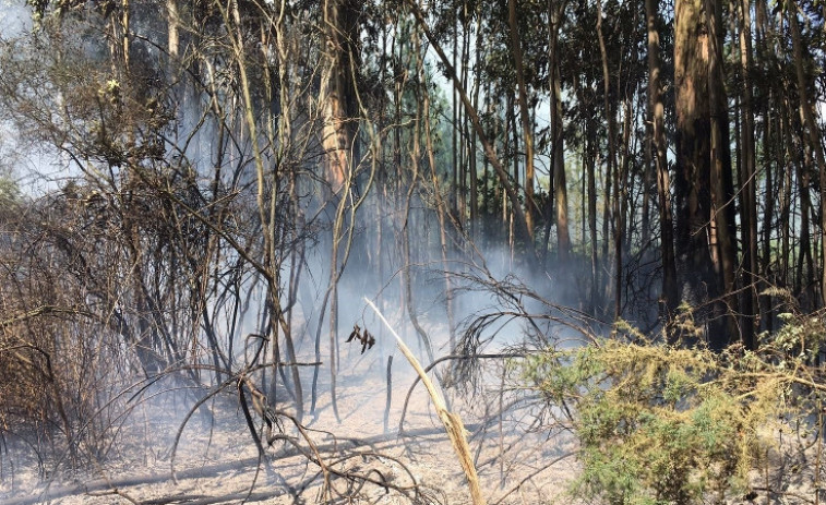 Extinguido el incendio de Vilariño de Conso después de tres días