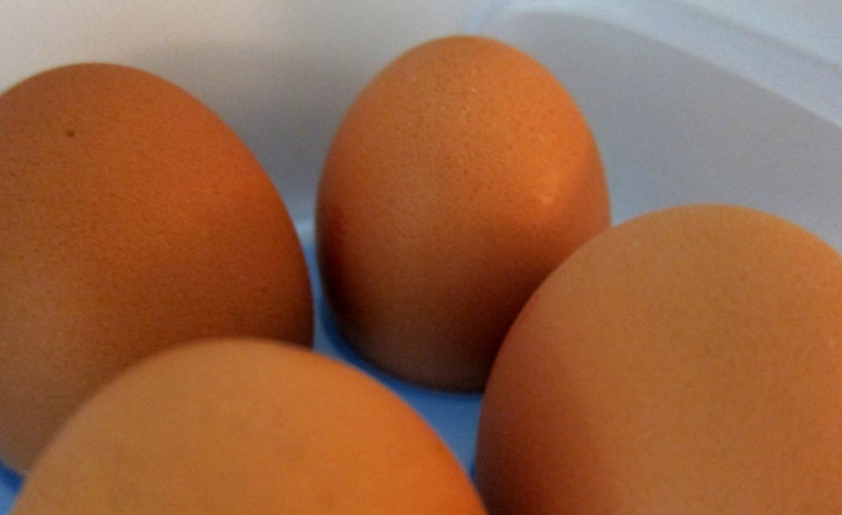 Detectada en España una nueva partida de huevos contaminados con fipronil