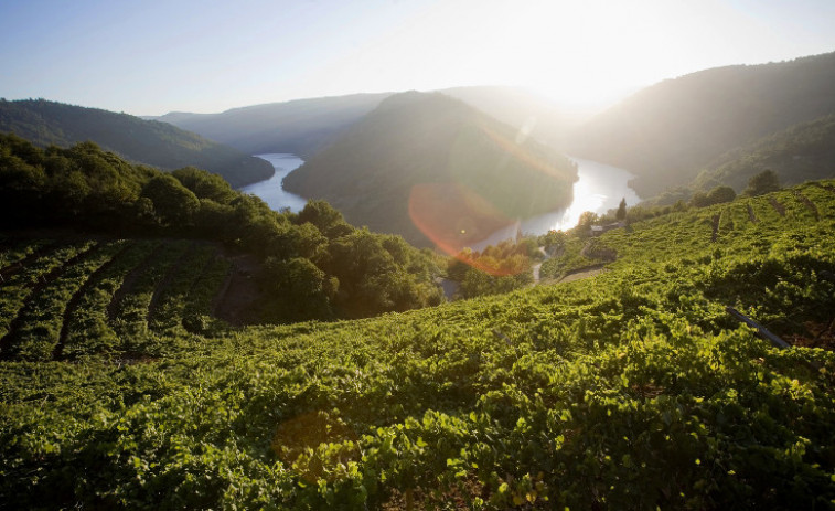 La Ribeira Sacra prepara su camino para convertirse en Patrimonio de la Humanidad