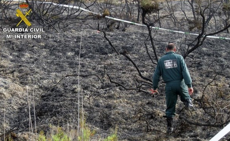 Primer detenido como presunto incendiario tras la oleada de fuegos del domingo