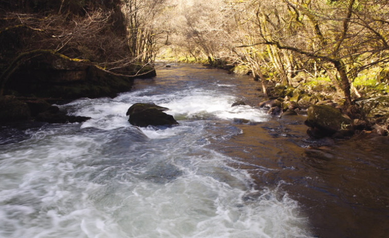 Galicia no puede dar la sequía por acabada con los ríos al 20% de su caudal