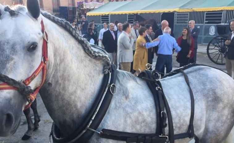 Dos detenidos después de intentar entrar con su caballo en un bar