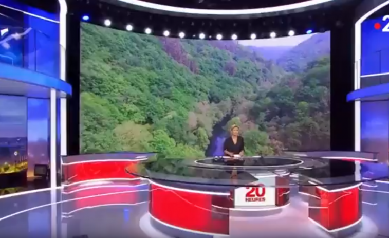 ​El reportaje sobre el eucalipto que no verás en la TVG