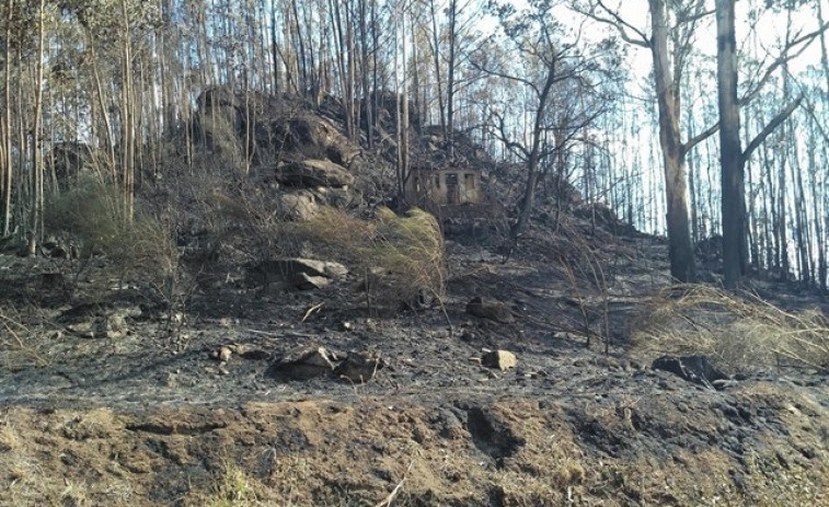 La Consellería de Medio Rural miente sobre las hectáreas afectadas en los incendios, según Arco Iris