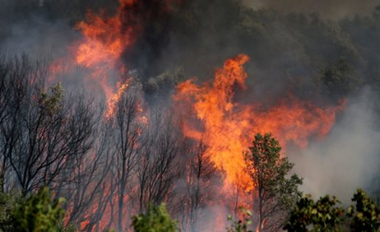 Incendios hasta el último día del año: 35 hectáreas arden en Ourense
