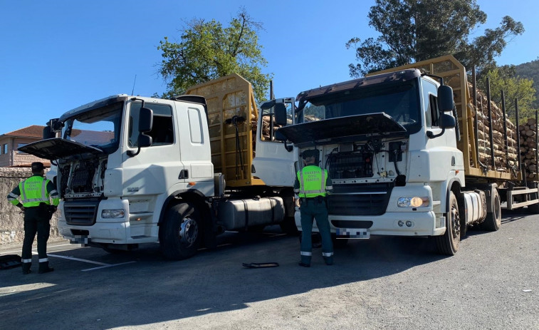 Varios camiones con eucaliptos de una misma empresa sorprendidos con las emisiones manipuladas