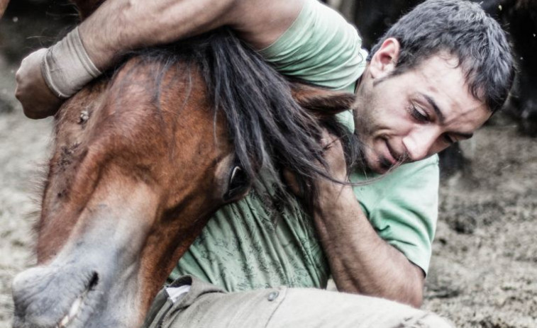 Las Rapa das Bestas de Sabucedo atrasada, pero intentarán organizarla en agosto