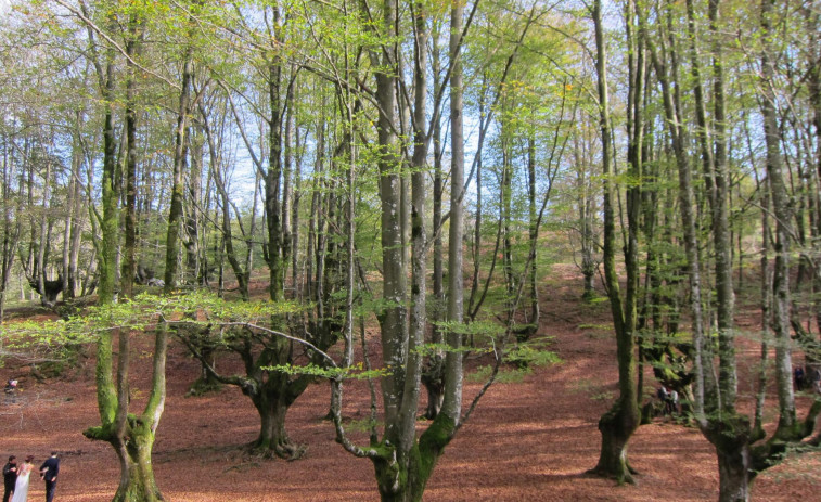 Un estudio prevé que Galicia mantenga una buena calidad del aire con los valores sugeridos por la UE y la OMS