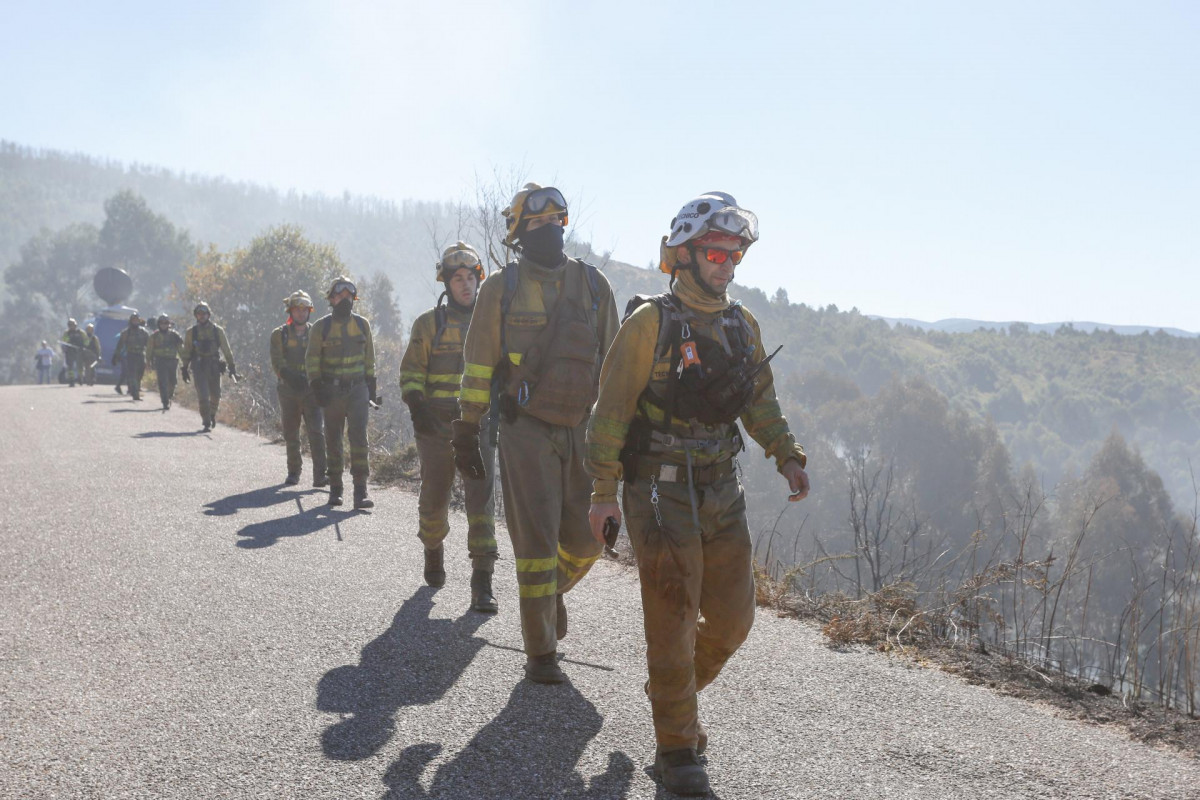 Fila de brigadistas que trabajan para sofocar el incendio forestal de Mondariz (Pontevedra)