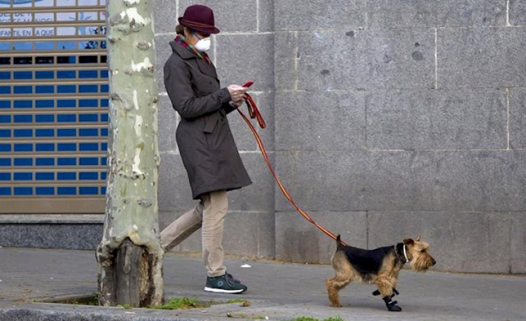 Animalistas piden a las autoridades que decomisen los perros al hombre que los alquila a 4 euros para saltarse el confinamiento