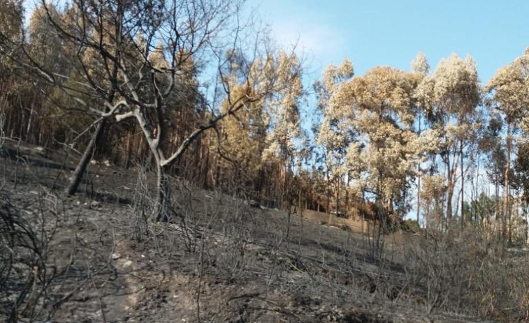 Tres incendios en el Parque Natural do Xurés y van más de 700 hectáreas quemadas en Ourense esta semana