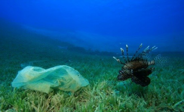 Playas gallegas con aguas de plástico: hay 10 veces más residuos en el Atlántico de lo que se pensaba, afirma un estudio