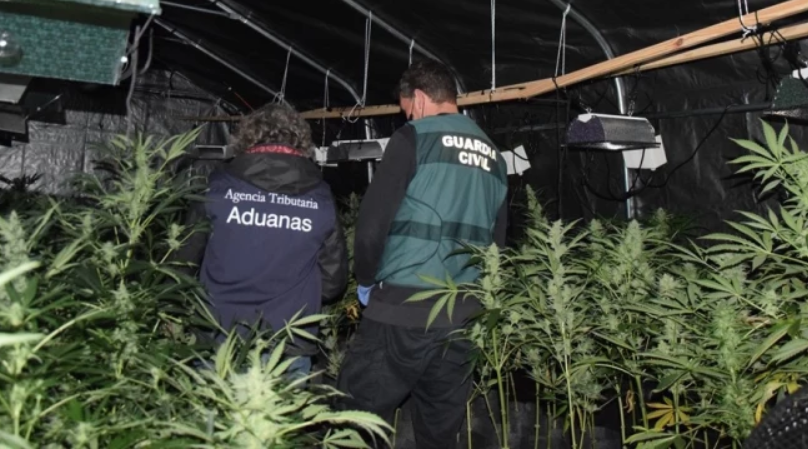 Plantación de marihuana en una nave en CEA en una foto de la Guardia Civil