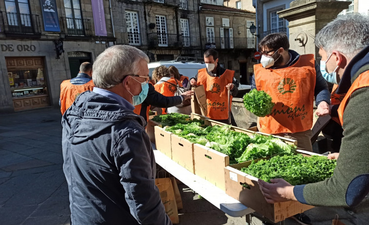 Lechugas gratis en Santiago de Compostela para denunciar los bajos precios que sufren los agricultores
