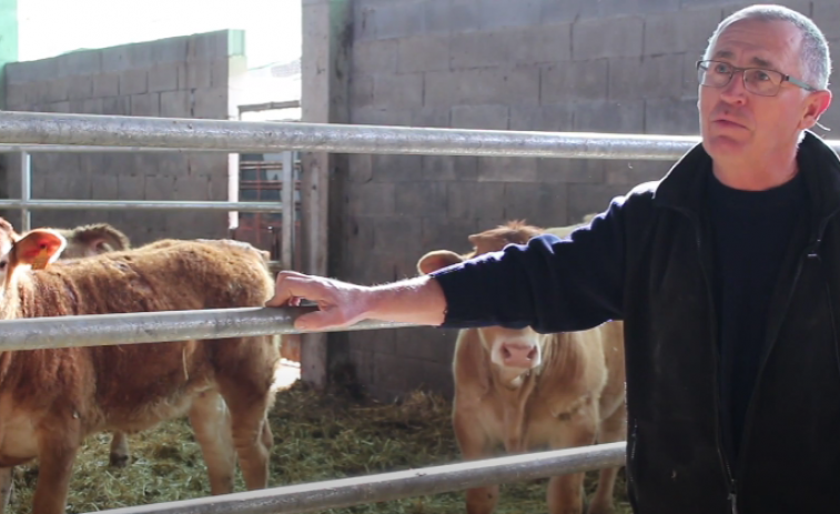 Los ganaderos de carne de vaca protestan porque los 