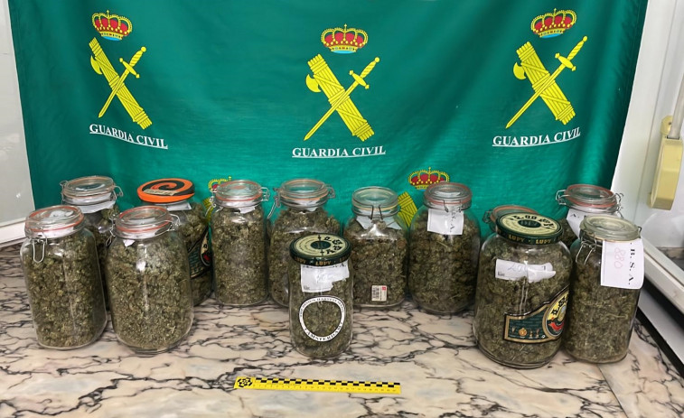 Detenida vecina de Ferreira do Valdouro que ocultaba una plantación de marihuana con cerca de 300 esquejes y plantas