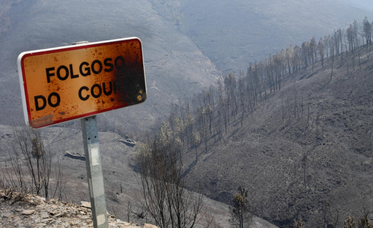 La investigación de la Fiscalía contra la gestión de los incendios avanza, asegura ecologistas