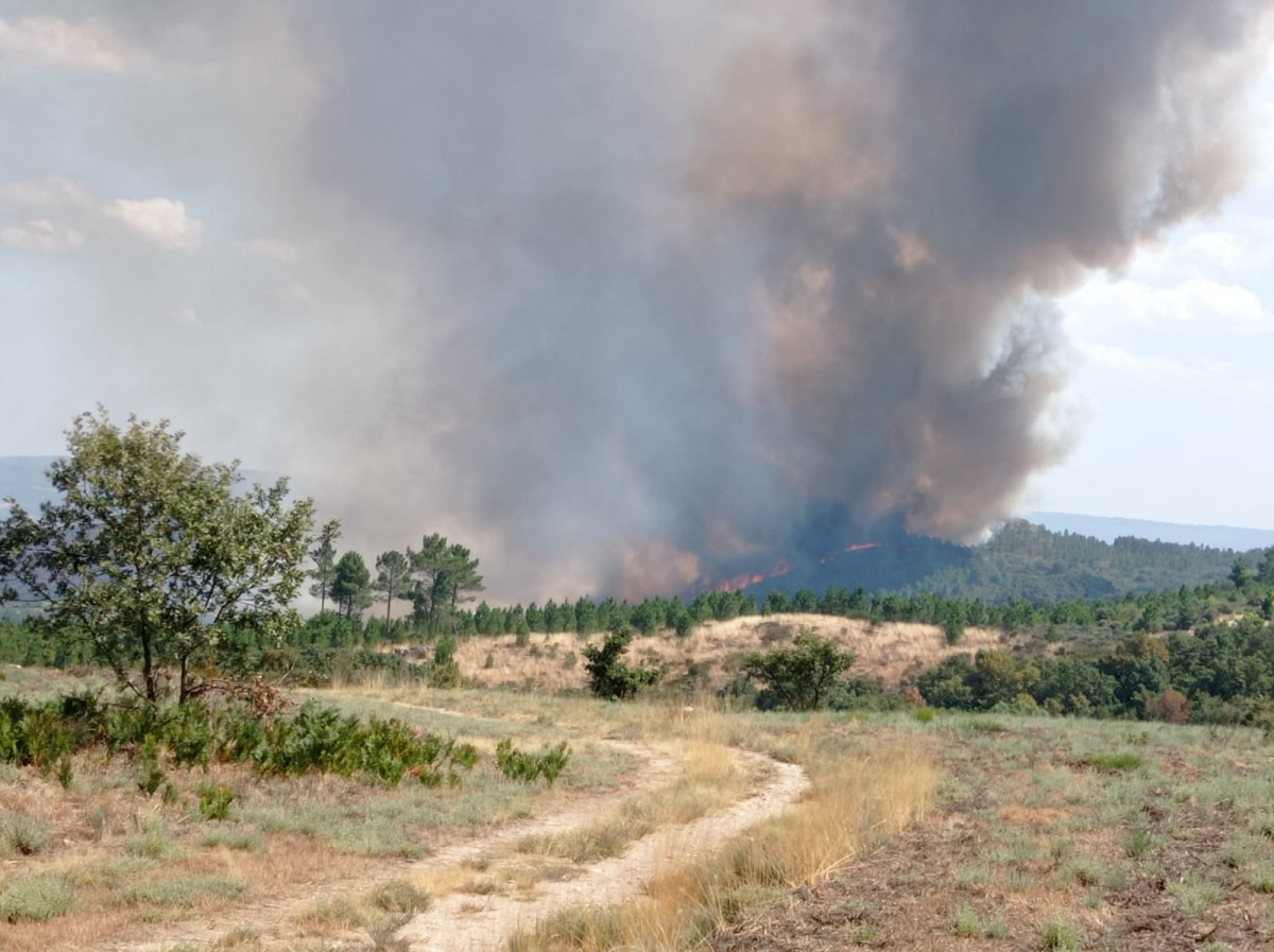 Imcendio forestal en Chaves cerca de Ou00edmbra