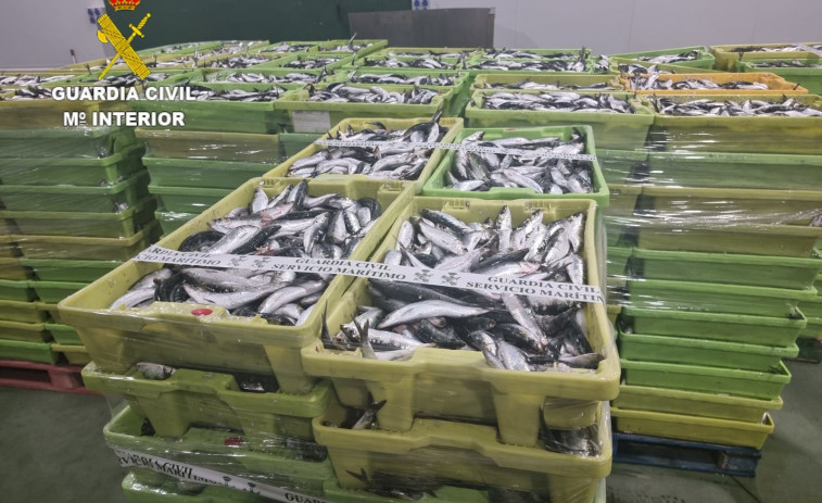 La Guardia Civil incauta 5 toneladas de sardina en el puerto de Camariñas