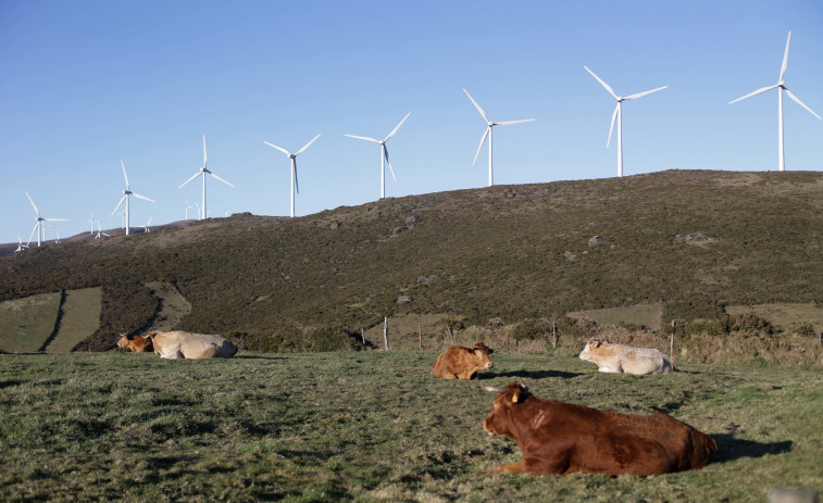 Ángeles Vázquez, conselleira de Medio Ambiente, pide 