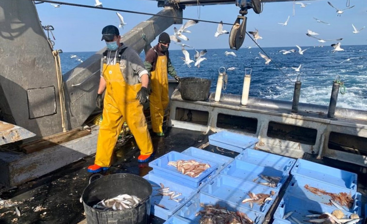Europa no solo mantiene el veto a la pesca de fondo en los 87 caladeros, sino que proyecta aumentar la protección