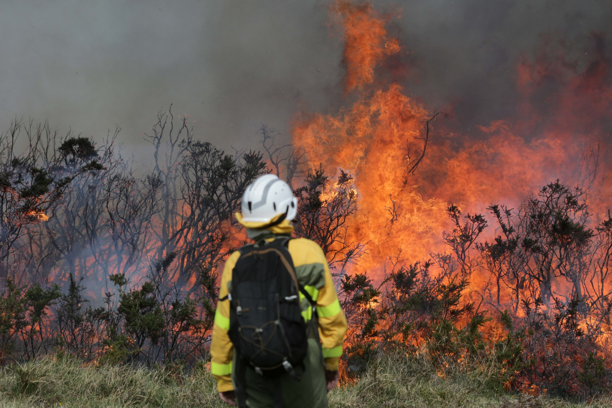 Un efectivo de la Xunta con base en Becerreá trabajan para extinguir las llamas en un incendio forestal, a 29 de marzo de 2023, en Baleira, Lugo, Galicia (España). El incendio forestal que afecta al