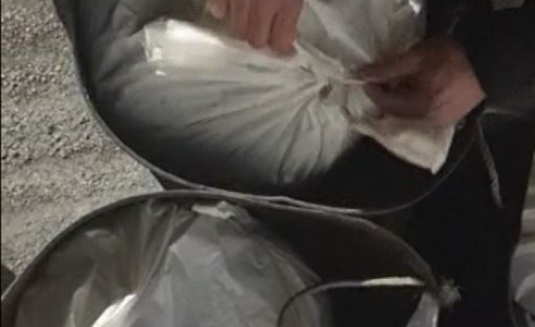 Intervenidos 90 kilos de pulpo sin autorización en Malpica