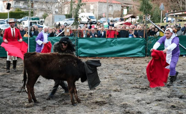 Animalistas piden dimisión del alcalde de Vila de Cruces tras abrirse proceso sancionador por capea de toros