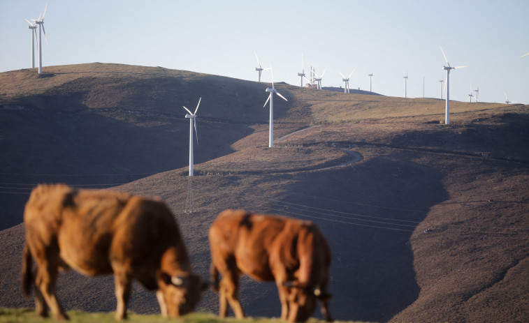 Empresarios eólicos acusan a ecologistas de causar emigración por sus recursos contra los parques