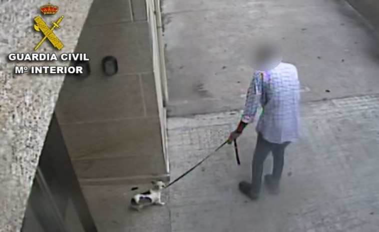 Investigan a un hombre por matar a su perro en Baiona y presentar una denuncia falsa