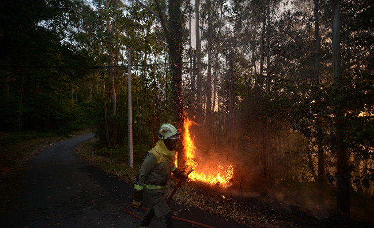 Estabilizado el incendio de Arteixo tras arrasar 20 hectáreas de terreno