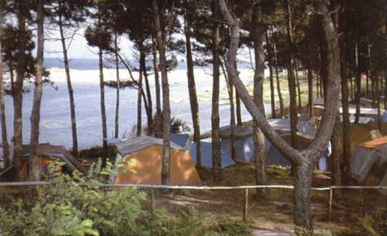Cuatro heridos al caer un árbol en una zona de camping de las islas Cíes