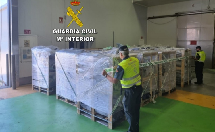 Pesca ilegal: incautan toneladas de pez espada en un camión cerca de Vigo