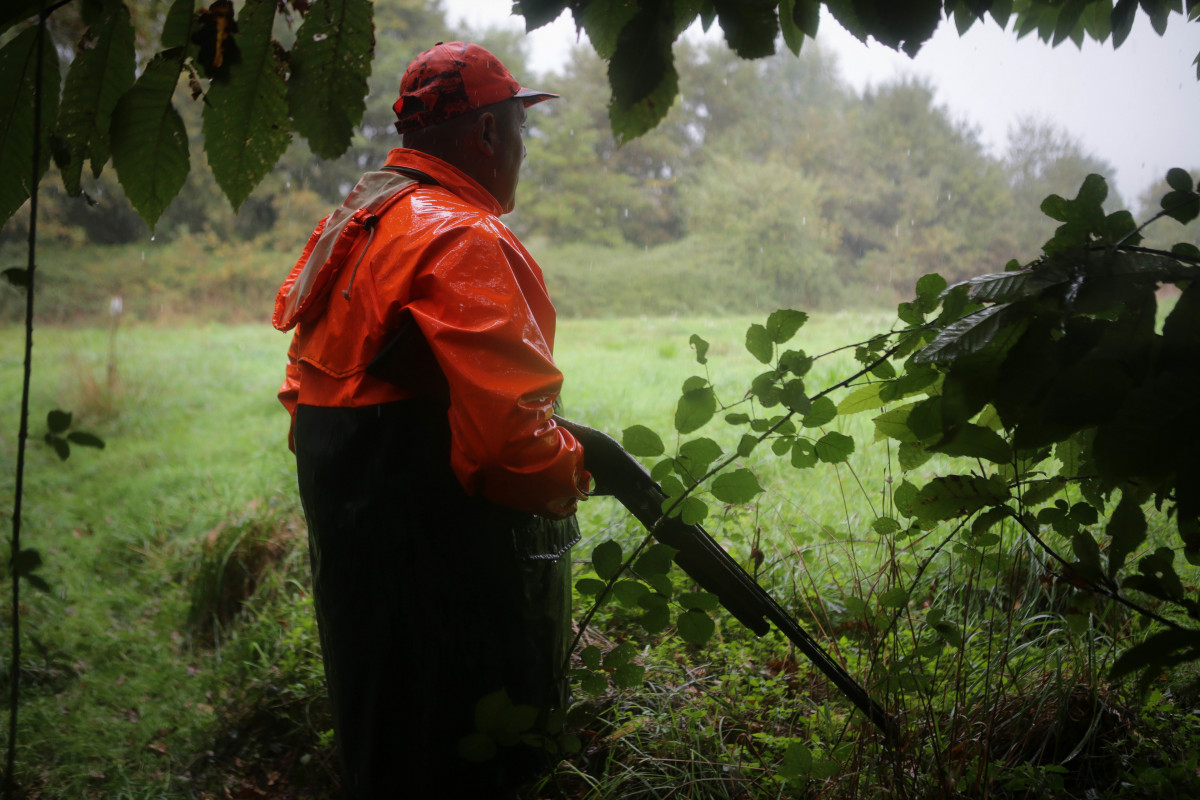 Un hombre caza durante el arranque de la temporada de caza en Galicia, a 15 de octubre de 2023, en Vilalba, Lugo