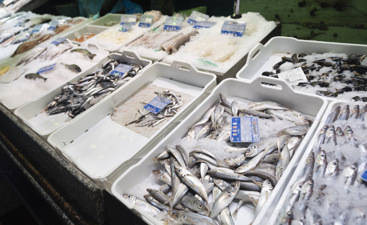 Eliminar el IVA de los pescados aumentaría su consumo en 100 millones de kilos, estima Fedepesca