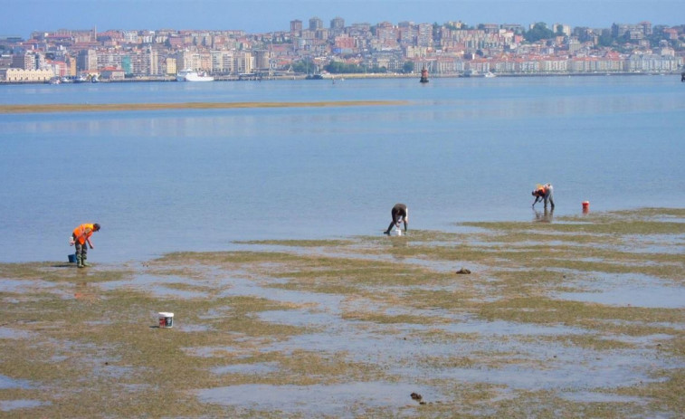 ​Falece un mariscador afogado na ría de Ferrol