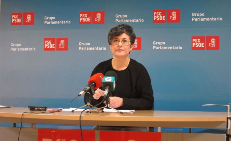 Patricia Vilán relevará a Méndez Romeu no parlamento