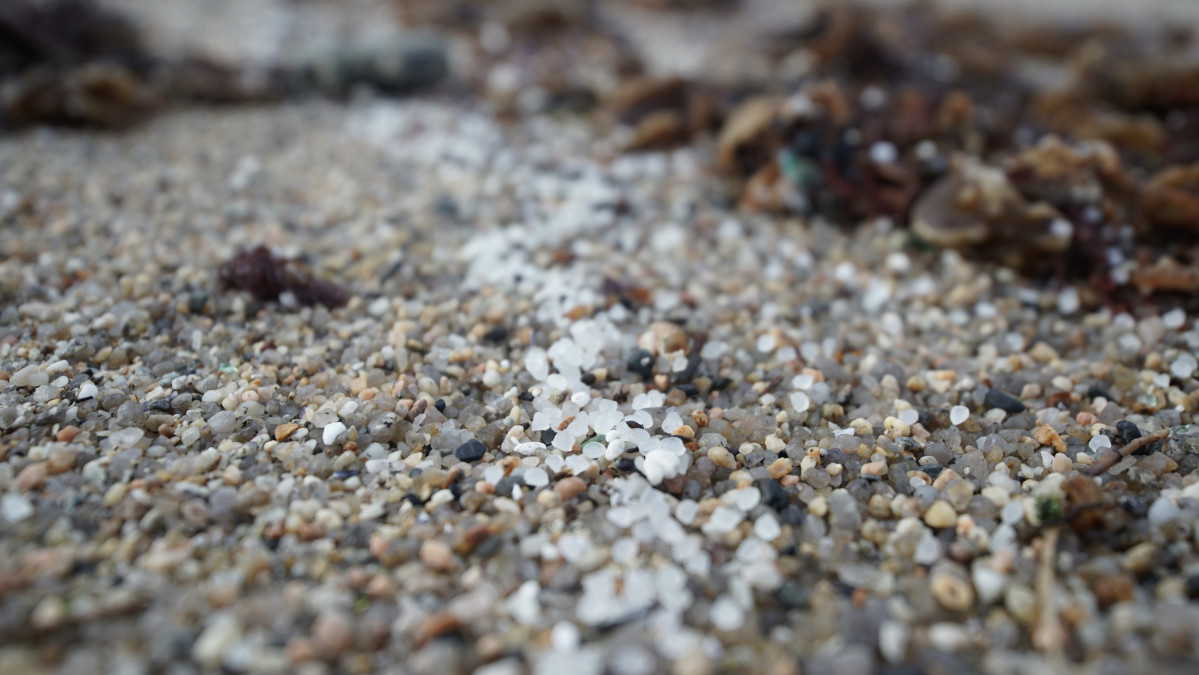 Pellets de plástico en la playa de Sabón, a 9 de enero de 2024, en A Coruña, Galicia (España).  Voluntarios se han organizado hoy para limpiar algunas playas de las provincias de A Coruña y Ponte