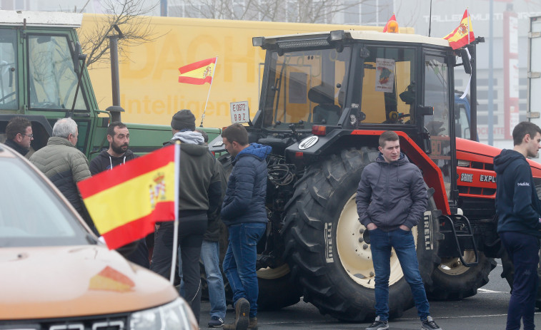 ¿Por qué no hay tractoradas en Galicia? Las granjas de leche vivieron un año récord pero las industrias sufren