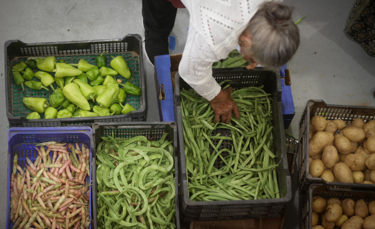 Estos son los alimentos que más suben del campo a la mesa