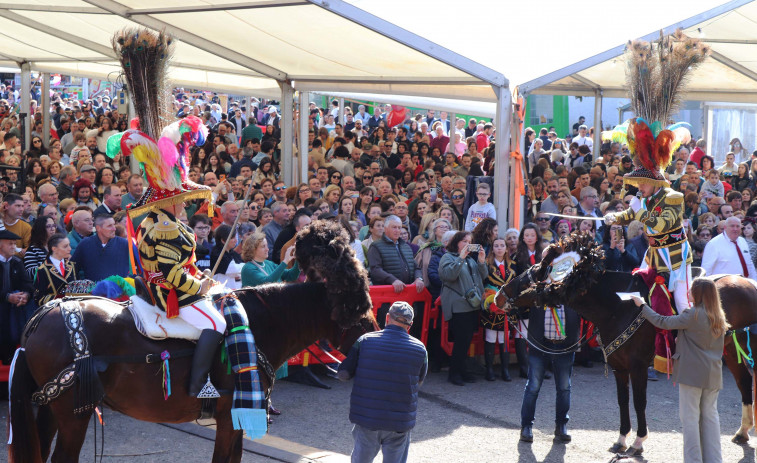 Más de 100.000 filloas repartidas en la Festa da Filloa de Lestedo