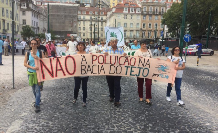 Celulosas como Altri no garantizan empleo local a largo plazo, advierten ecologistas de Portugal