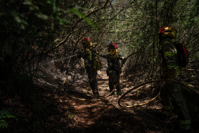 Agentes de los equipos de bomberos trabajan en el lugar del incendio, a 16 de abril de 2024, en Crecentes, Pontevedra, Galicia (España). El incendio forestal fue declarado en la tarde de ayer y permanece activo en Crecente (Pontevedra) superando ya las 50