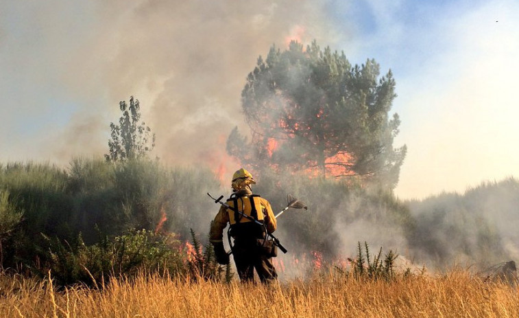Vivendas ameazadas por un incendio forestal en Verín